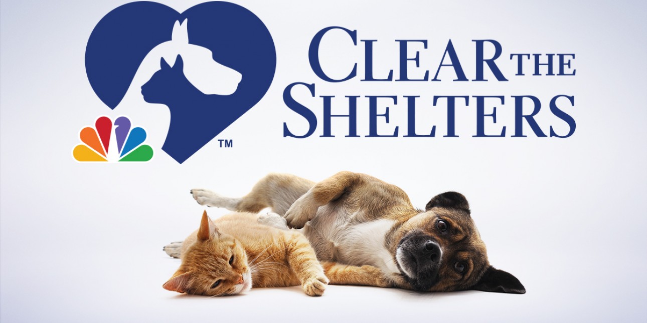 Clear the Shelters 2020 Pennsylvania Society for the Prevention of
